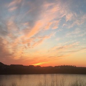 Meet your Posher, Allie